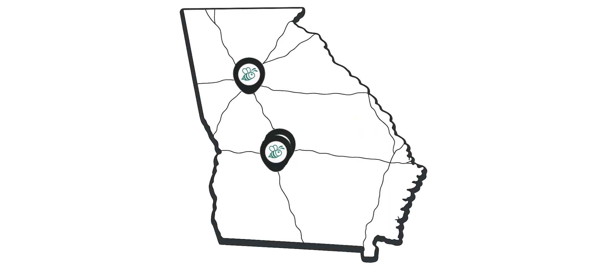 Georgia State Outline with Pins